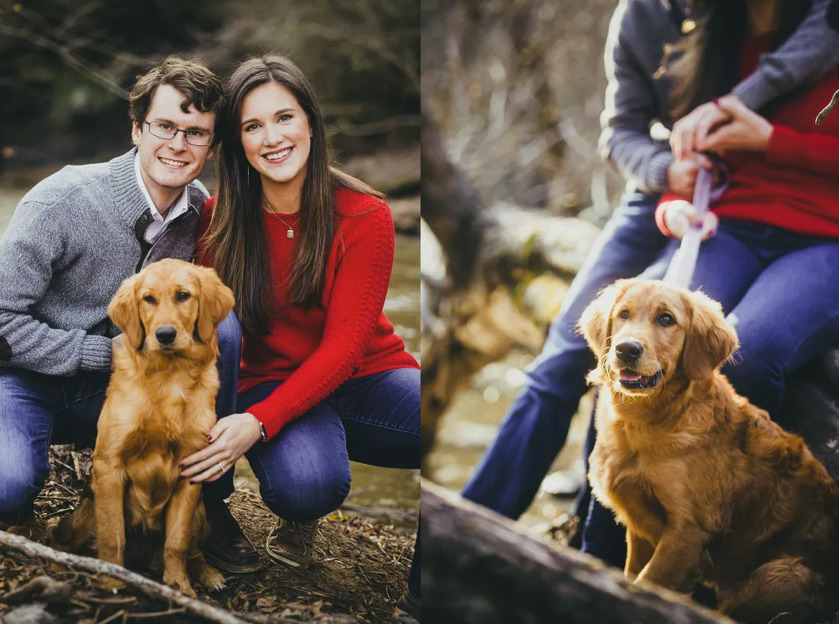Engagement Session with Golden Retriever